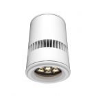 73796-PL-